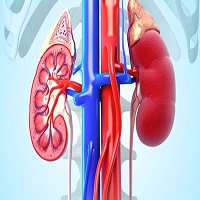 Picture of related test